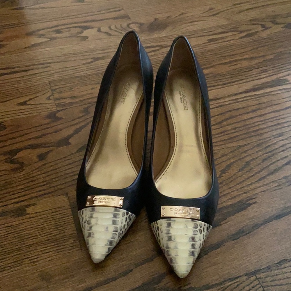 Coach snake skin heals with gold plate